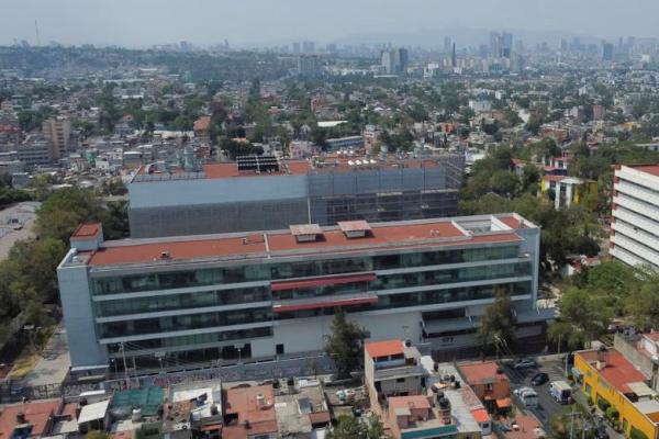 WHO Sebut Warga yang Terjangkit Flu Burung di Meksiko Meninggal