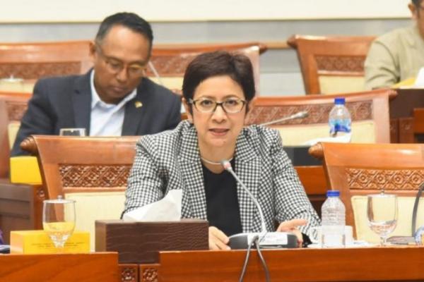 Anggota Komisi I DPR RI Nurul Arifin. Foto: dpr 