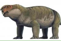 Hewan Purba Mirip Babi Tunjukkan Awal Mula Evolusi Otak Mamalia