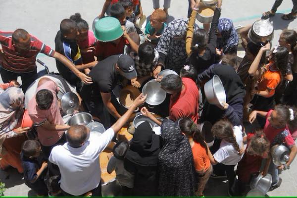 Tidak Ada Bantuan Makanan, Warga Gaza Konsumsi Daun Murbei untuk Bertahan Hidup