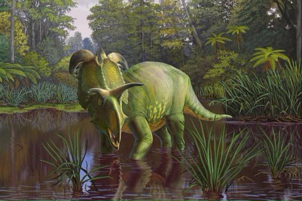 Dinosaurus dari Montana Memiliki Tanduk seperti Pedang Dewa Norse Loki