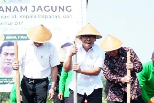 Kepala NFA: Hari Ini, Jagung Sangat Menjanjikan 