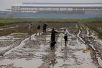 Korban Tewas Terinjak-injak dalam Acara Keagamaan di India Naik Menjadi 121 Orang