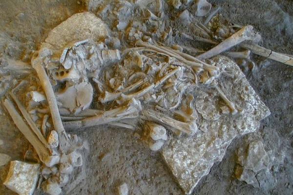 Bukti Genom Tunjukkan Adanya Wabah pada Kehancuran Populasi Eropa di Zaman Batu