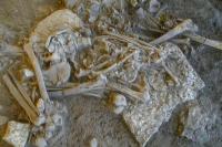 Bukti Genom Tunjukkan Adanya Wabah pada Kehancuran Populasi Eropa di Zaman Batu