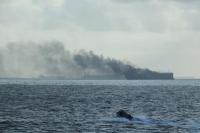 Tanker Terbakar Usai Tabrakan Dekat Singapura, Diduga Bawa Minyak Iran