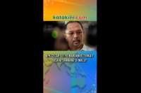 KPK Cecar Setyo Mardanus Terkait Usaha Tambang di Malut