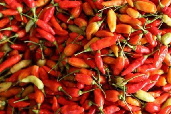 Bersama Stakeholder Pangan, NFA Gencarkan Stabilisasi Harga Cabai