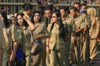 Siap-siap,  Pendaftaran CPNS Dibuka 20 Agustus, Ada 50.407 Formasi