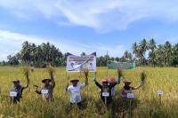 Kementan-Pemkab Nunukan Sinergi Tingkatkan Produksi Pangan di Kaltara