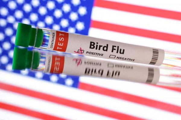 Pemimpin dan Staf Pusat Kedokteran Hewan AS soal Flu Burung Ikut Dipecat
