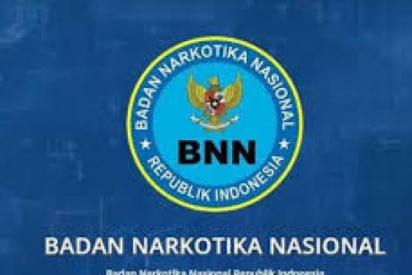 BNN Perkirakan Perputaran Uang Narkoba di Indonesia Capai Rp500 Triliun per Tahun