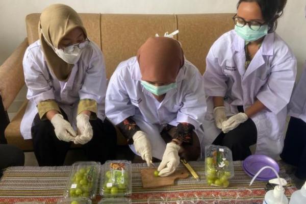 Meski Anggur Shine Muscat Aman, NFA Tetap Perkuat Pengawasan 
