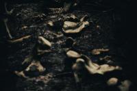 Menelisik Sejarah Santet di Indonesia