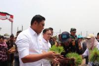 Regulasi Distribusi Pupuk Disederhanakan, Wamentan: Komitmen Presiden Prabowo