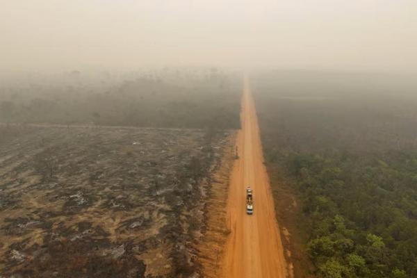 Emisi CO2 Capai Rekor Tertinggi Tahun Ini, Dipicu Bahan Bakar Fosil
