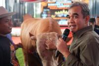 Ketua MPR Sumbang Rp250 Juta Hasil Lelang Sapi untuk Korban Gunung Lewotobi