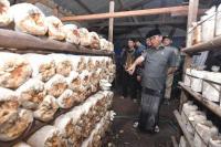 Mendes Sambangi Desa Margorejo Lampung, Dorong Pengembangan Produk Lokal