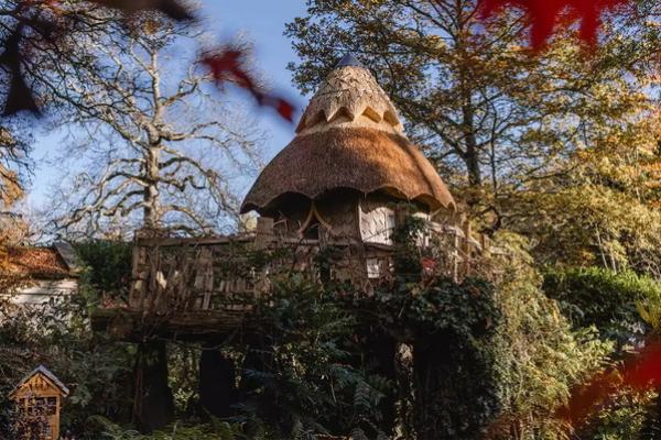 Rumah Pohon Masa Kecil Pangeran William dan Pangeran Harry Dipugar Jadi Lebih Indah