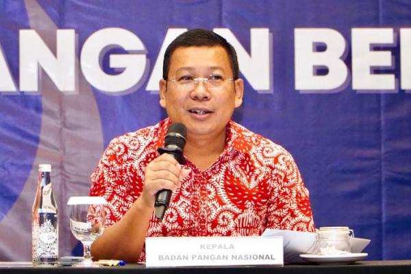 2025, Pemerintah Putuskan Salurkan Bantuan Pangan Beras Selama 6 Bulan
