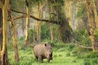 Indonesia Miliki 564 Kawasan Konservasi, Didominasi Cagar Alam