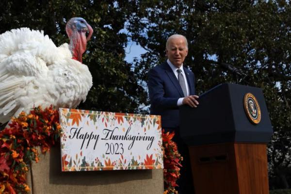 Pengampunan Kalkun dalam Thanksgiving Terakhir Biden sebagai Presiden