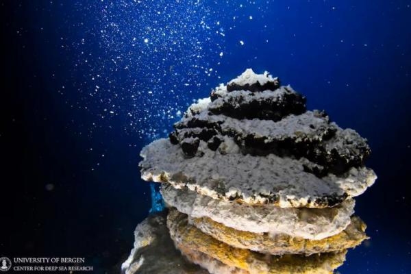 Minoritas, tapi Partai Kecil Ini Sukses Hentikan Penambangan Laut Dalam Norwegia