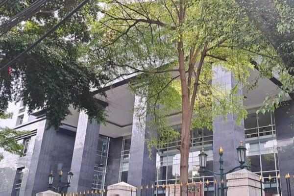 Sidang Gugatan Eks Pegawai PT Pegadaian Ditunda hingga Pekan Depan