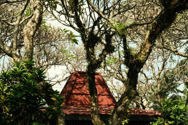 Inilah Filosofi Rumah Joglo yang Perlu Diketahui