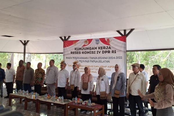 Swasembada, NFA Dorong Bulog Serap Panen Raya Besar-besaran 