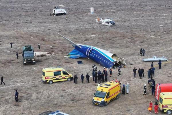 Serangan Burung Diperkirakan Jadi Penyebab Jatuhnya Pesawat Azerbaijan