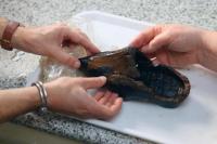 Arkeolog Belanda Temukan Sepatu Kayu Langka Berusia 500 Tahun