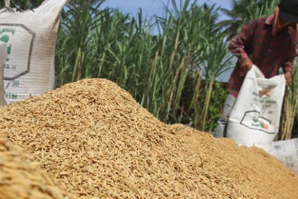 Komisi IV DPR Akan Kawal Penerapan Kenaikan HPP Gabah dan Jagung