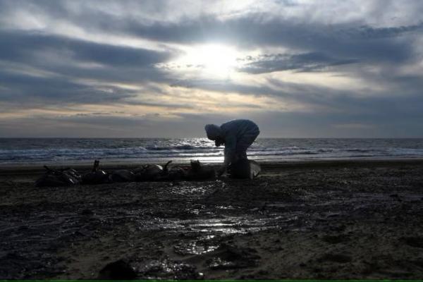 Umumkan Keadaan Darurat di Krimea, Rusia Bersihkan Tumpahan Minyak dari Laut Hitam
