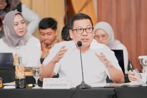 NFA Tekankan Keseimbangan Penyerapan dan Penyaluran Beras