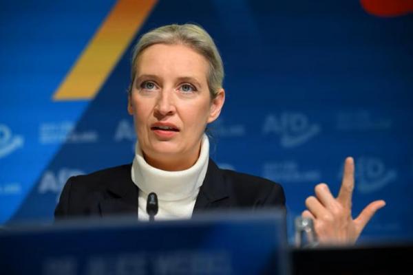 Dukung AfD, Parlemen Jerman Menyelidiki Dugaan Campur Tangan Pemilu Elon Musk