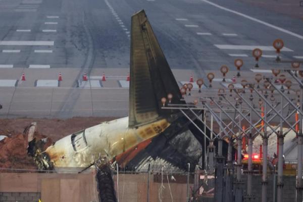 Terdapat Jejak Unggas yang Bermigrasi di Mesin Pesawat Jeju Air yang Jatuh