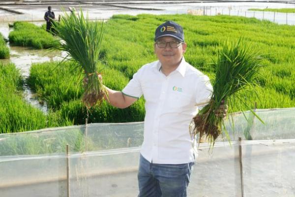 Kepala NFA: Kami Siap Serap Gabah dan Beras Petani dengan HPP Baru