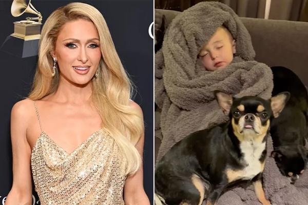 Rumahnya Musnah Terbakar, Paris Hilton Menikmati Momen Berharga dengan Anak-anak dan Anjingnya