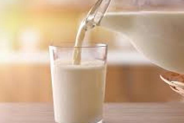 Di Daerah Bukan Sentra Sapi, Menu Susu MBG Diganti Protein Lain