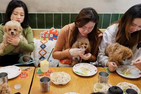 Shanghai Rayakan Tahun Baru Imlek dengan Makan Malam Khusus Anjing