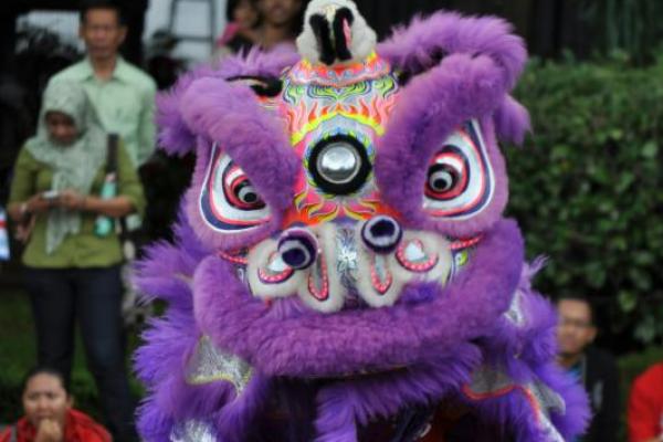 Ternyata Ada Dua Jenis Barongsai, Ada yang Berbulu Lebat