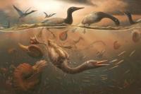 Unggas Air Mirip Loon Era Dinosaurus adalah Burung Modern Tertua