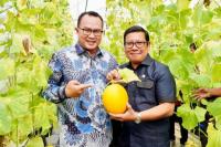 Inovasi Produksi Dorong Percepatan Realisasi Swasembada Pangan