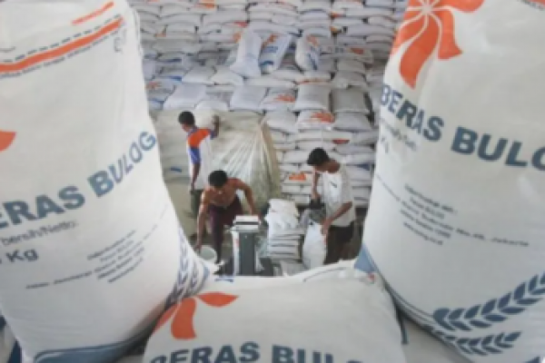 Tersebar di Seluruh Wilayah Indonesia, Bulog Kuasai 1,9 Juta Ton Beras