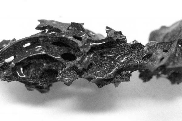 Letusan Gunung Vesuvius Mengubah Otak Seorang Pria Menjadi Kaca