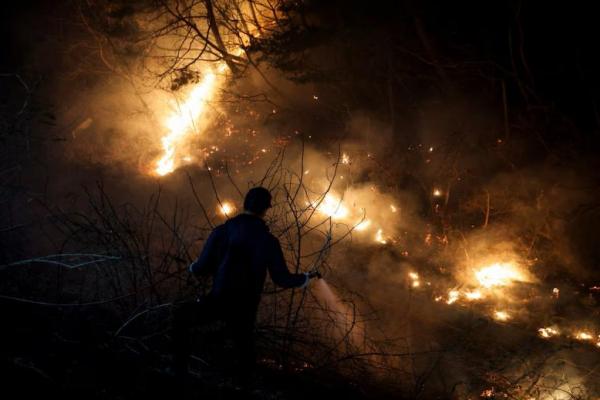 Pilot Tewas Saat Padamkan Kebakaran Hutan Korsel, Korban Menjadi 24 Orang