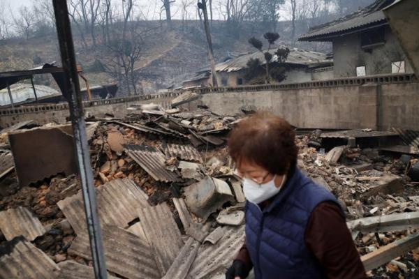 Situs Bersejarah Hancur, Korban Tewas Kebakaran Hutan Korsel Capai 28 Orang