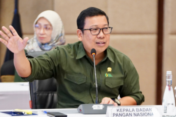 NFA Pastikan Stok dan Harga Pangan Aman Pascalebaran