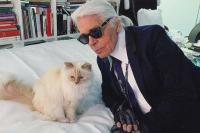 Beginilah Cara Choupette Kucing Kesayangan Karl Lagerfeld Habiskan Warisan Jutaan Dolar
